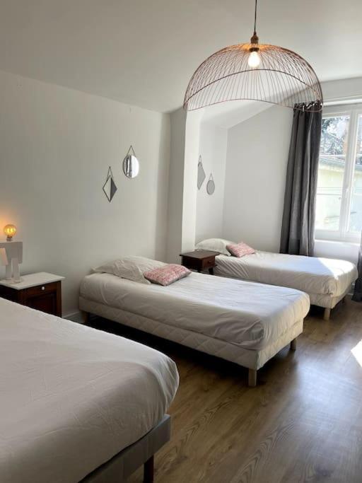 Maison De Charme Avec Jardin - Proche Lyon - Vienne  Eksteriør bilde